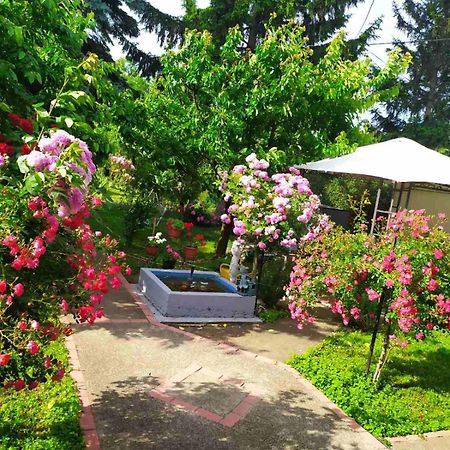 Apartment Ljupka Pančevo المظهر الخارجي الصورة