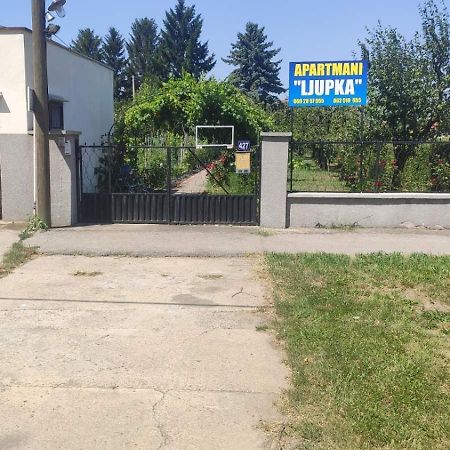 Apartment Ljupka Pančevo المظهر الخارجي الصورة