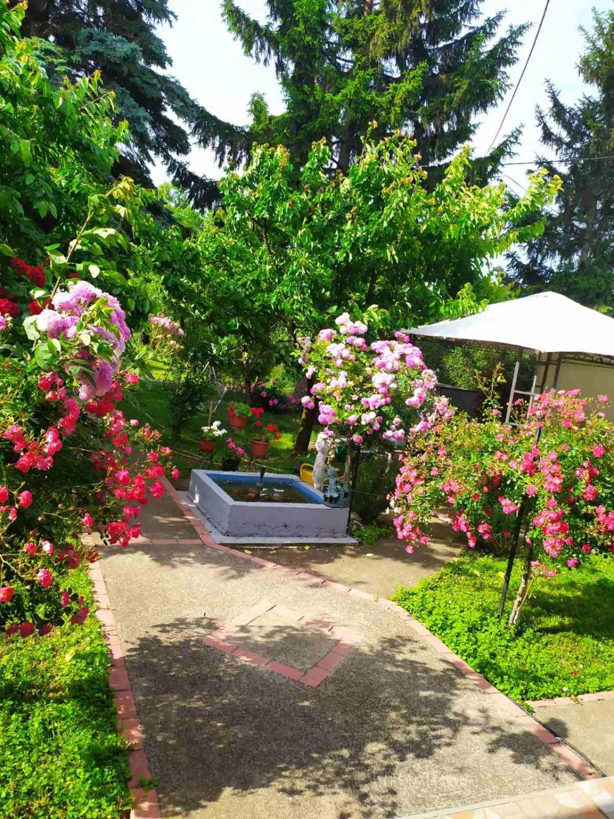 Apartment Ljupka Pančevo المظهر الخارجي الصورة