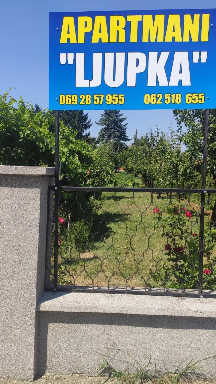 Apartment Ljupka Pančevo المظهر الخارجي الصورة
