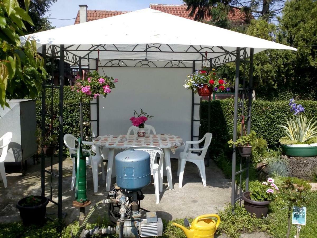 Apartment Ljupka Pančevo المظهر الخارجي الصورة