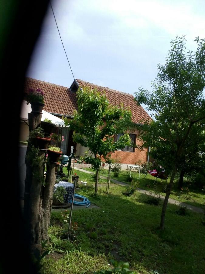 Apartment Ljupka Pančevo المظهر الخارجي الصورة