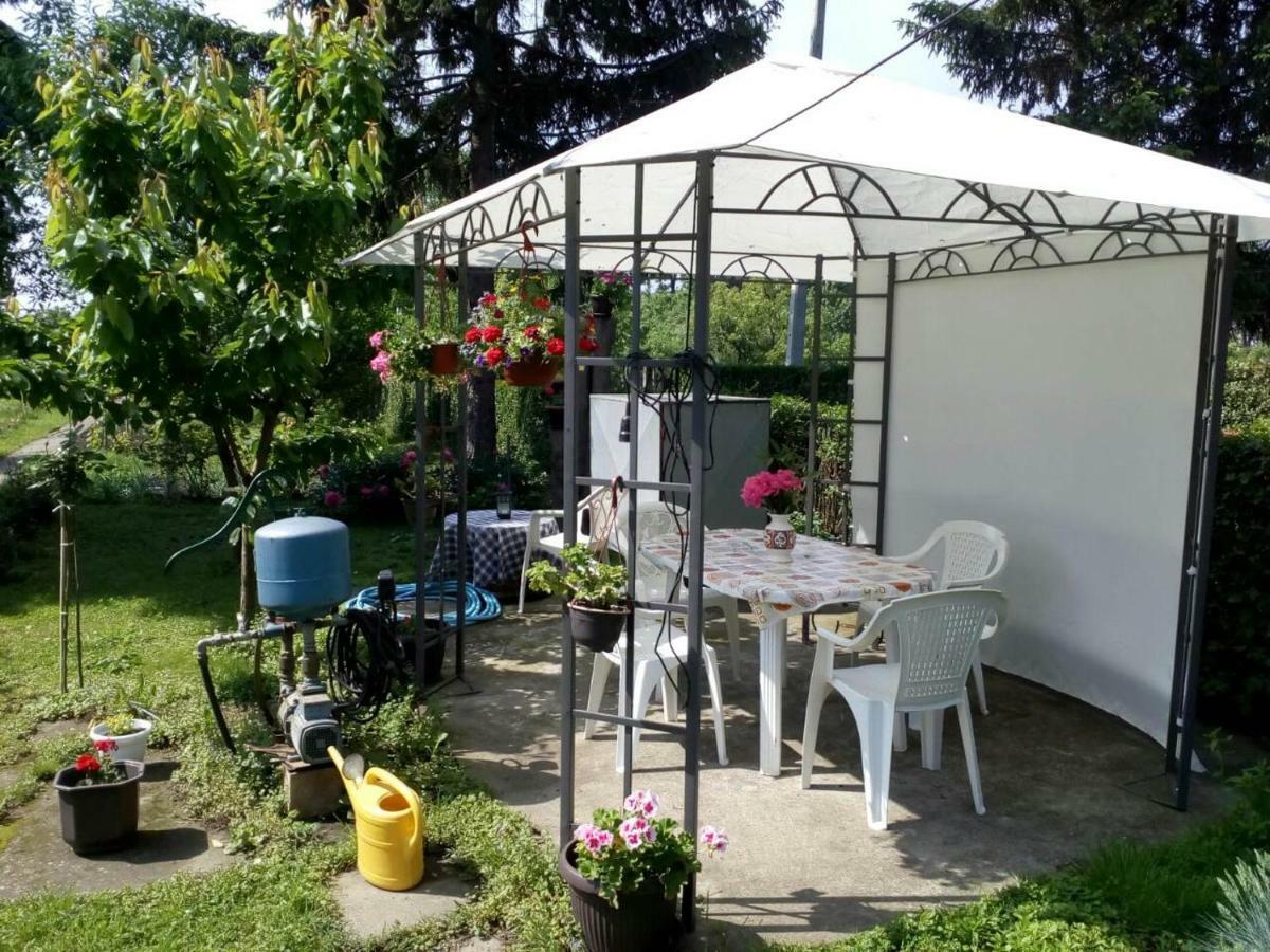 Apartment Ljupka Pančevo المظهر الخارجي الصورة