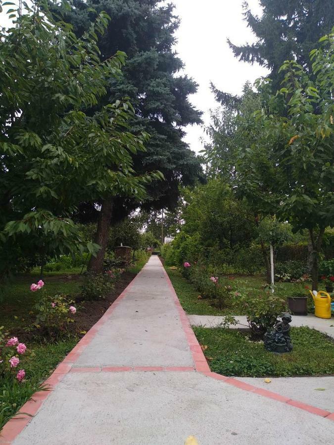 Apartment Ljupka Pančevo المظهر الخارجي الصورة