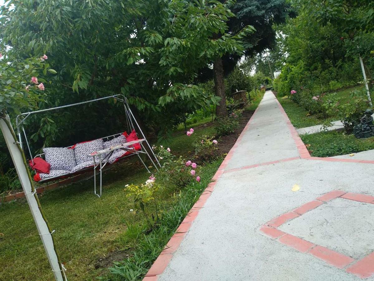 Apartment Ljupka Pančevo المظهر الخارجي الصورة