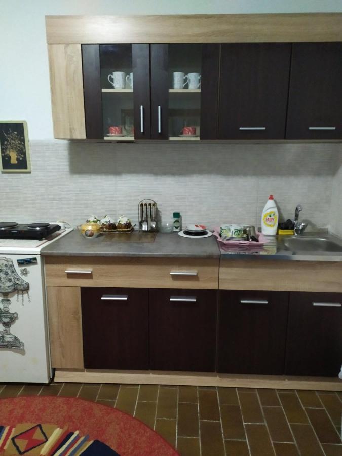 Apartment Ljupka Pančevo المظهر الخارجي الصورة