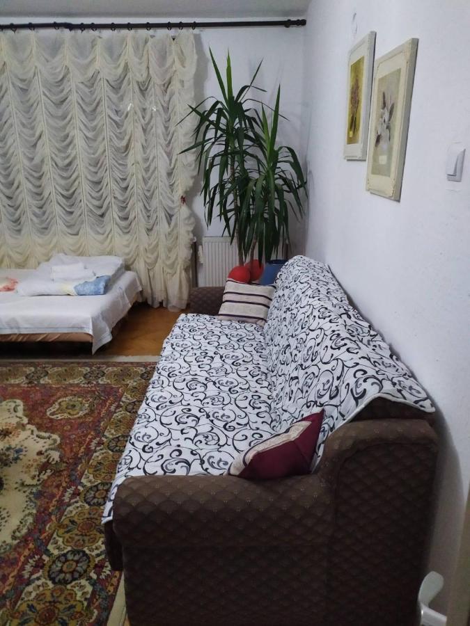 Apartment Ljupka Pančevo المظهر الخارجي الصورة